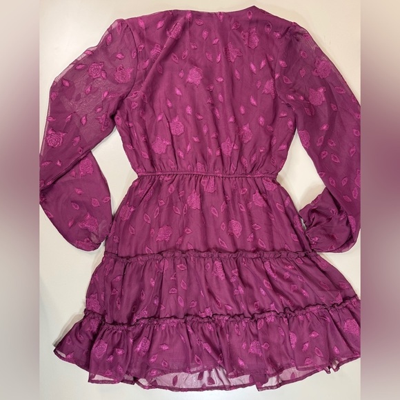 Fall Whimsigoth Lined Mini Dress with Cinched Waist Glitter Rose Mesh Medium - Picture 13 of 14